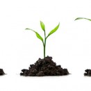 Need a New Business Process App? Follow These Four Simple Steps for Success